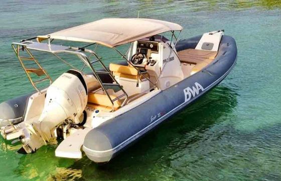 Bwa 750