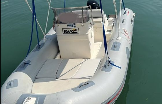 Bwa 550