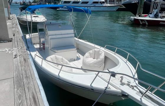 Shamrock 23