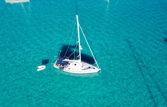 Bavaria 44