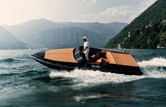 Tullio-Abbate Sea star 21