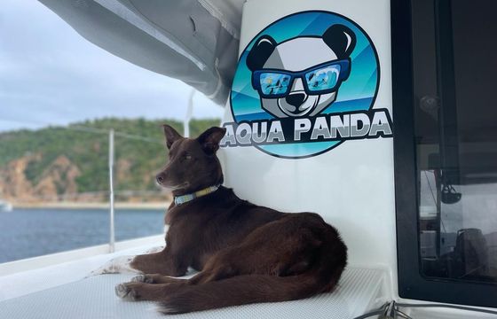 Fountaine Pajot Lucia 40