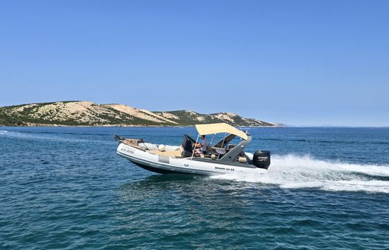 Grginić Shark 23