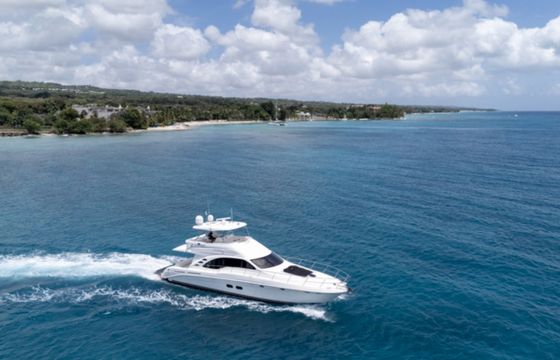 Sea Ray 58 Sedan Bridge