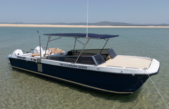 Cheetah Marine WOW 8.9
