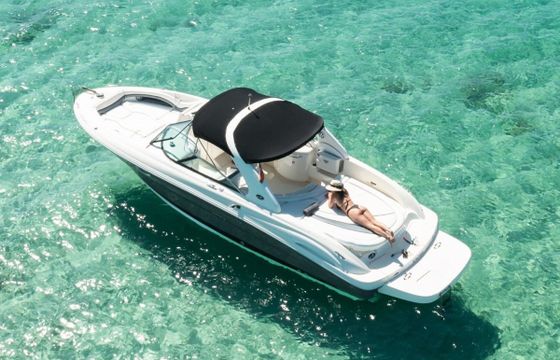 Sea Ray 290