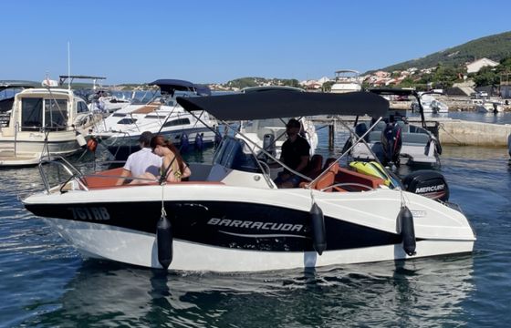 Barracuda 545