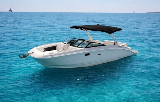 Sea Ray SDX 270