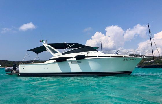 Bertram 38 Special