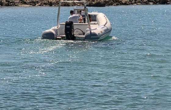 Italboats Predator 540