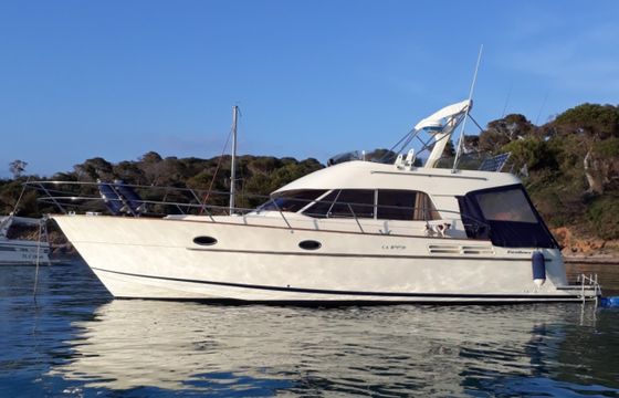 ACM EXCELLENCE 38