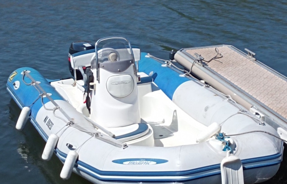 Zodiac Medline 500