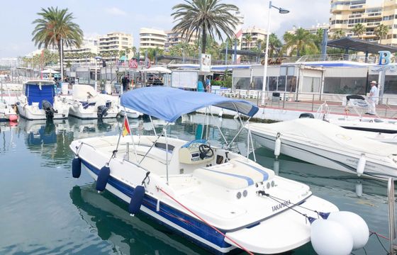 Bayliner 6m