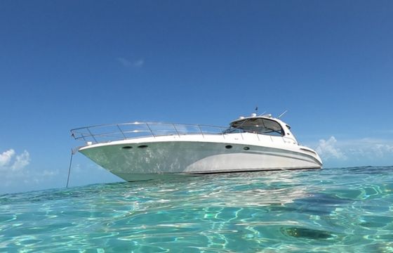Sea Ray 550