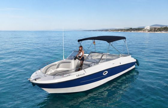 Bayliner 249 SD