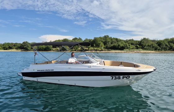 Bayliner 249 SD