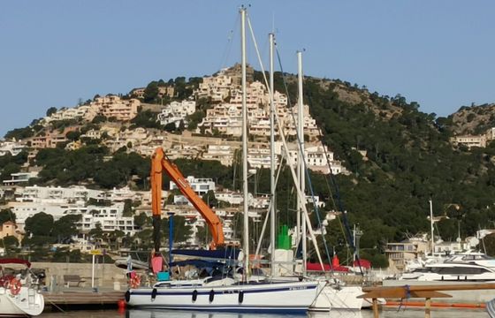 North Wind MISTRAL 43