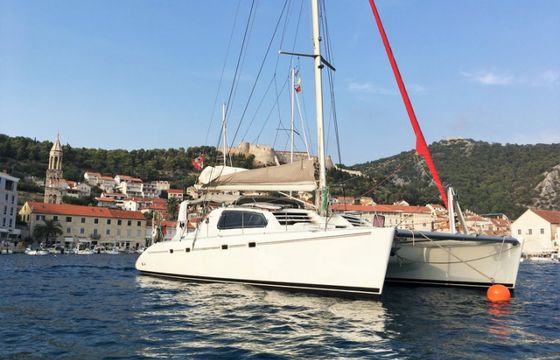 Leopard 47