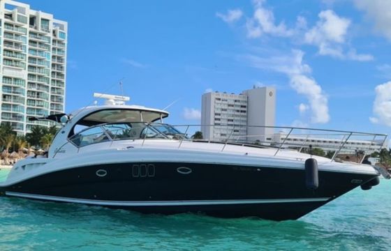 Sea Ray 450 Sundancer