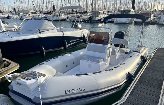 Tiger 600 OPEN