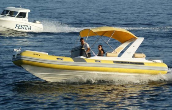Rib Baracuda