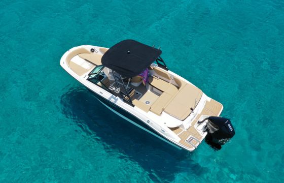 Sea Ray SPX 210