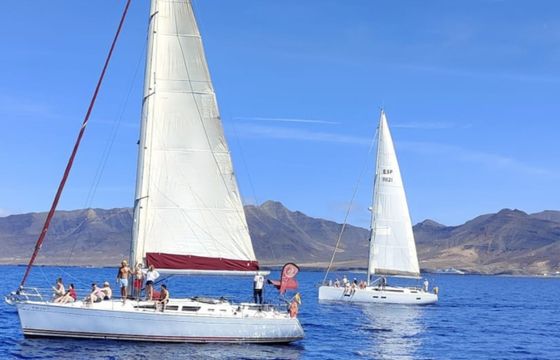 Grand Soleil 46