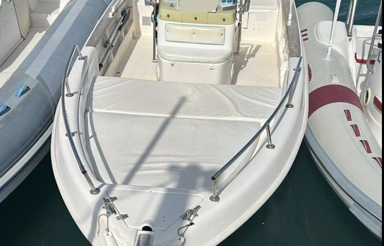 Saver 550