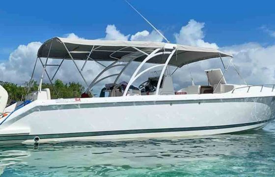 Forboat 340 S