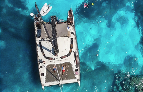 Tournier Marine Freydis 49