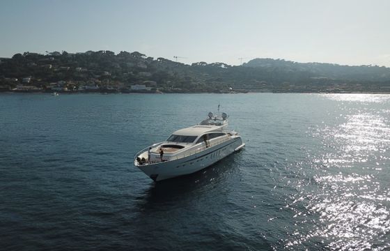 Leopard 31