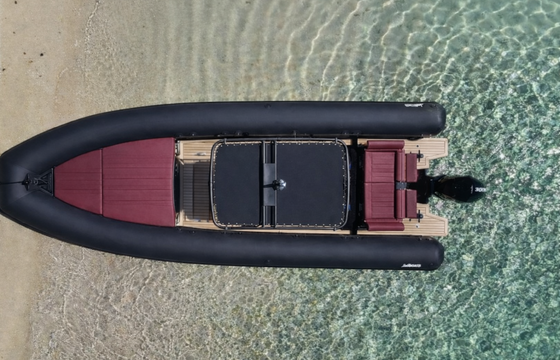 Sea Water Phantom 260
