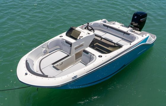 Bayliner M17
