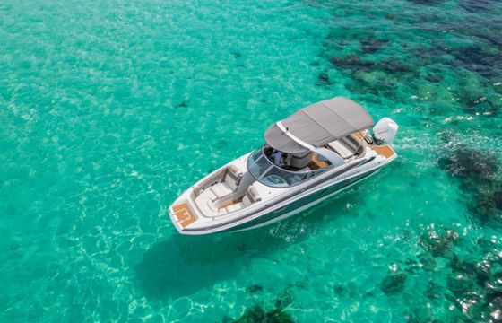 Crownline 275XS