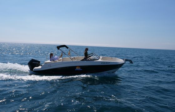 Bayliner VR6 OB