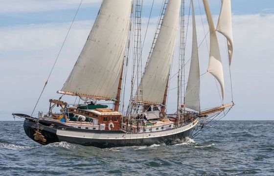 Covey Island Boatworks TREE OF LIFE