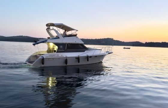 Trojan F36