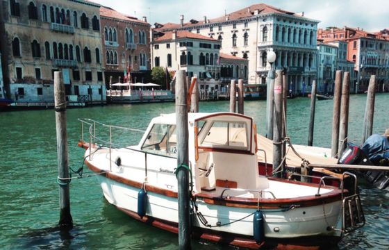 Sciallino 20