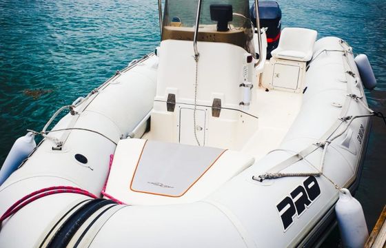 Zodiac Pro Open 550