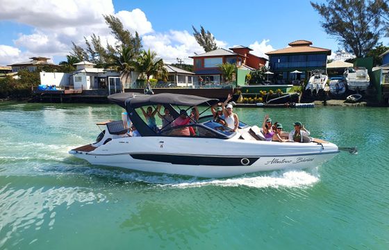 Coral 26