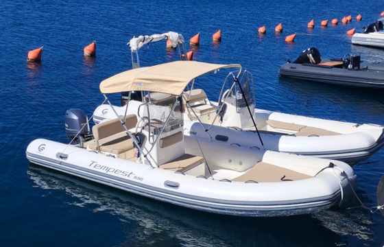 Capelli Tempest 530