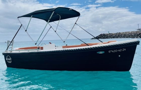 Silver Yacht 495