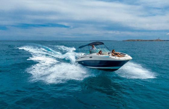 Sea Ray 260