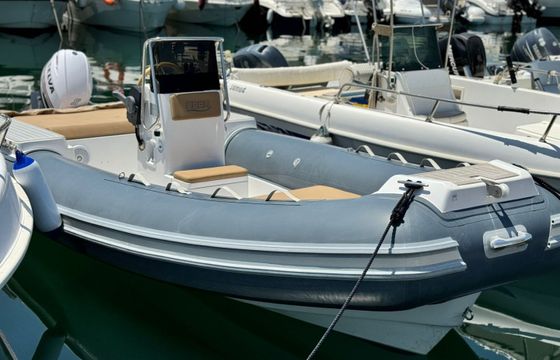 Noah Battelli Noah 55