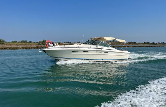 Sea Ray 310 Express