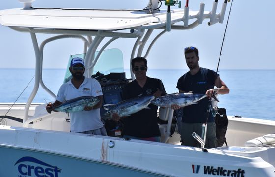 Wellcraft Fisherman 262