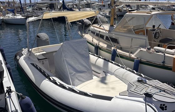 Selva D650 Family