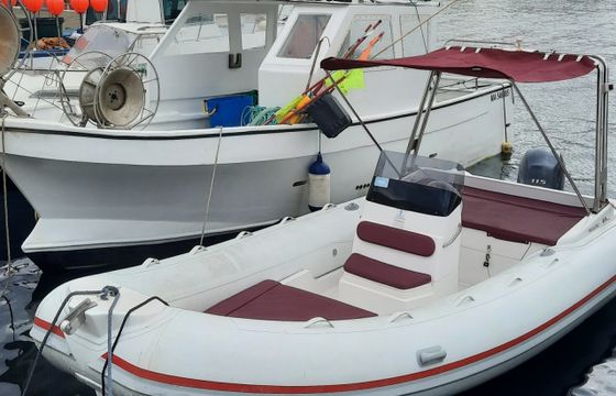 Italboats Predator 599 AS