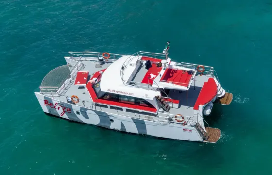 Nautiber Custom