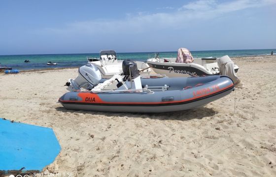 Hippocampe focchi 460